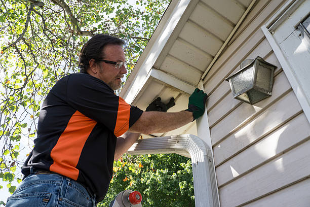 Best Fascia and Soffit Installation  in Pine Lakes, FL